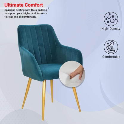 Velvet Cafe & Dining Chair with Armrest by Curious Lifestyle