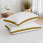 Extra Soft Microfiber Filled Down Alternative Hypoallergenic Premium Sleeping Pillow/Border Pillow Set of 2 (16 x 24 inch Pack of 2)