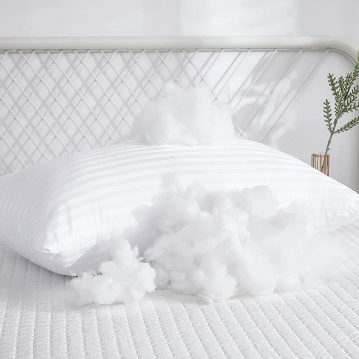 cushion price