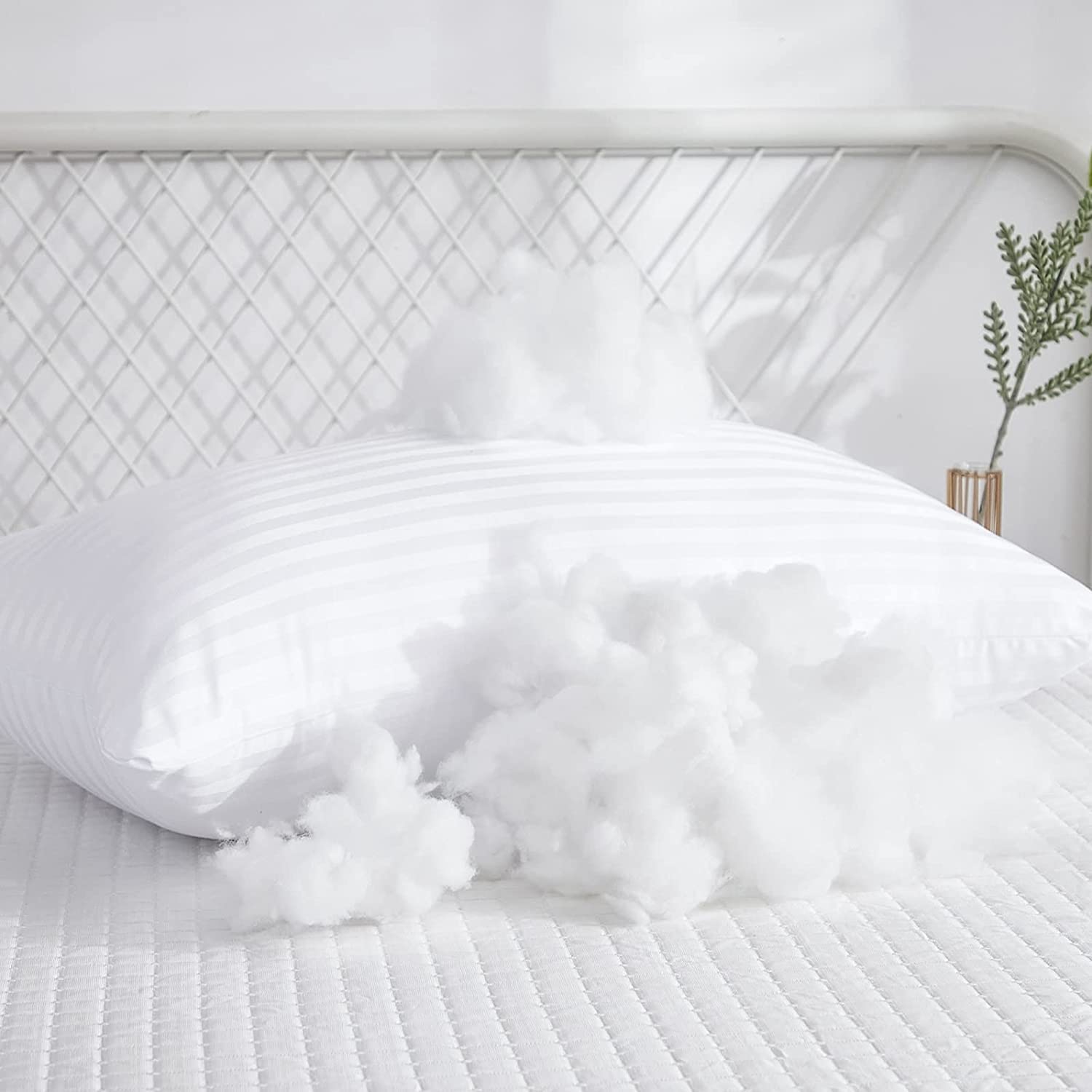 cushion price