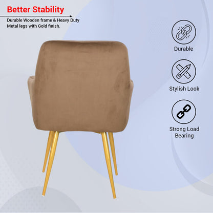 Velvet Cafe & Dining Chair with Armrest by Curious Lifestyle