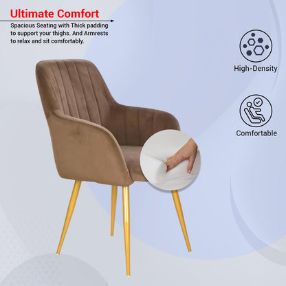 Velvet Cafe & Dining Chair with Armrest by Curious Lifestyle