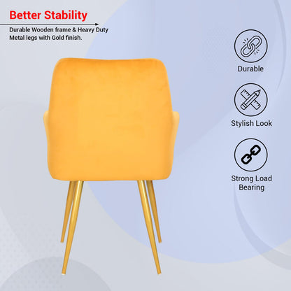 Velvet Cafe & Dining Chair with Armrest by Curious Lifestyle