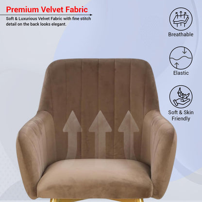 Velvet Cafe & Dining Chair with Armrest by Curious Lifestyle