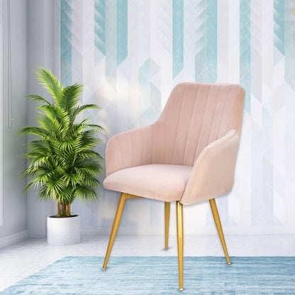 Curious Lifestyle Velvet Cafe Chair | Dining Chair for Cafe & Restaurant Chair | Upholstered Accent Chair with Arm Rest for Living Room/Dinning Room | Velvet Chair with Metal Leg (Peach, 19x24x39 in)