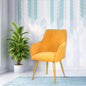 Curious Lifestyle Velvet Cafe Chair | Dining Chair for Cafe & Restaurant Chair | Upholstered Accent Chair with Arm Rest for Living Room/Dinning Room | Velvet Chair with Metal Leg (Peach, 19x24x39 in)