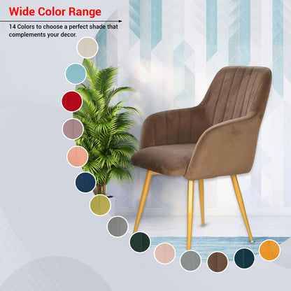 Velvet Cafe & Dining Chair with Armrest by Curious Lifestyle