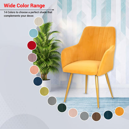 Velvet Cafe & Dining Chair with Armrest by Curious Lifestyle