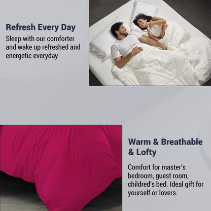 Reversible Microfiber Comforter Blanket for Winter by Curious Lifestyle