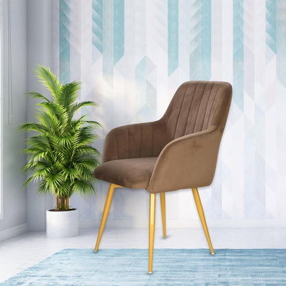 Velvet Cafe & Dining Chair with Armrest by Curious Lifestyle