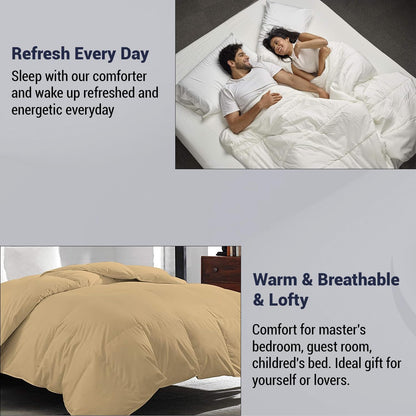 Reversible Microfiber Comforter Blanket for Winter by Curious Lifestyle